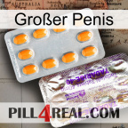 Großer Penis new12